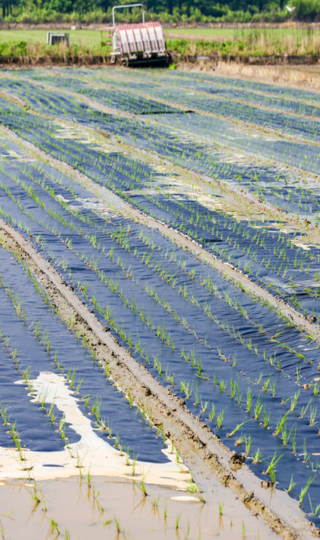 Company-provided agricultural application reference image